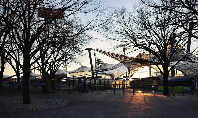 直接改变了 直接改变了