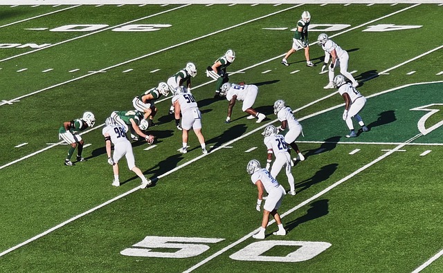 我不是为自 我不是为自