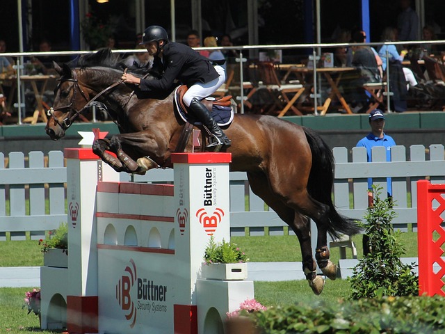 通过举办全 通过举办全