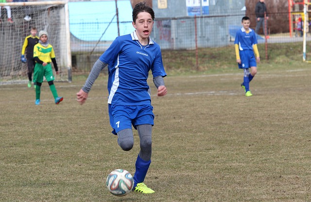 策略与亮点 策略与亮点