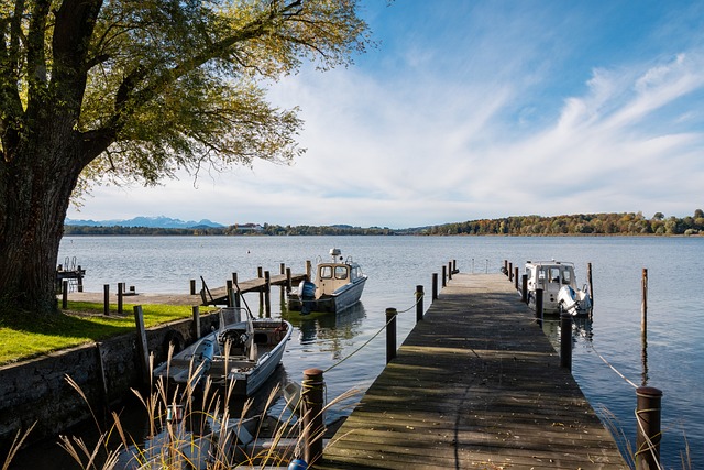 乌斯的动作 乌斯的动作