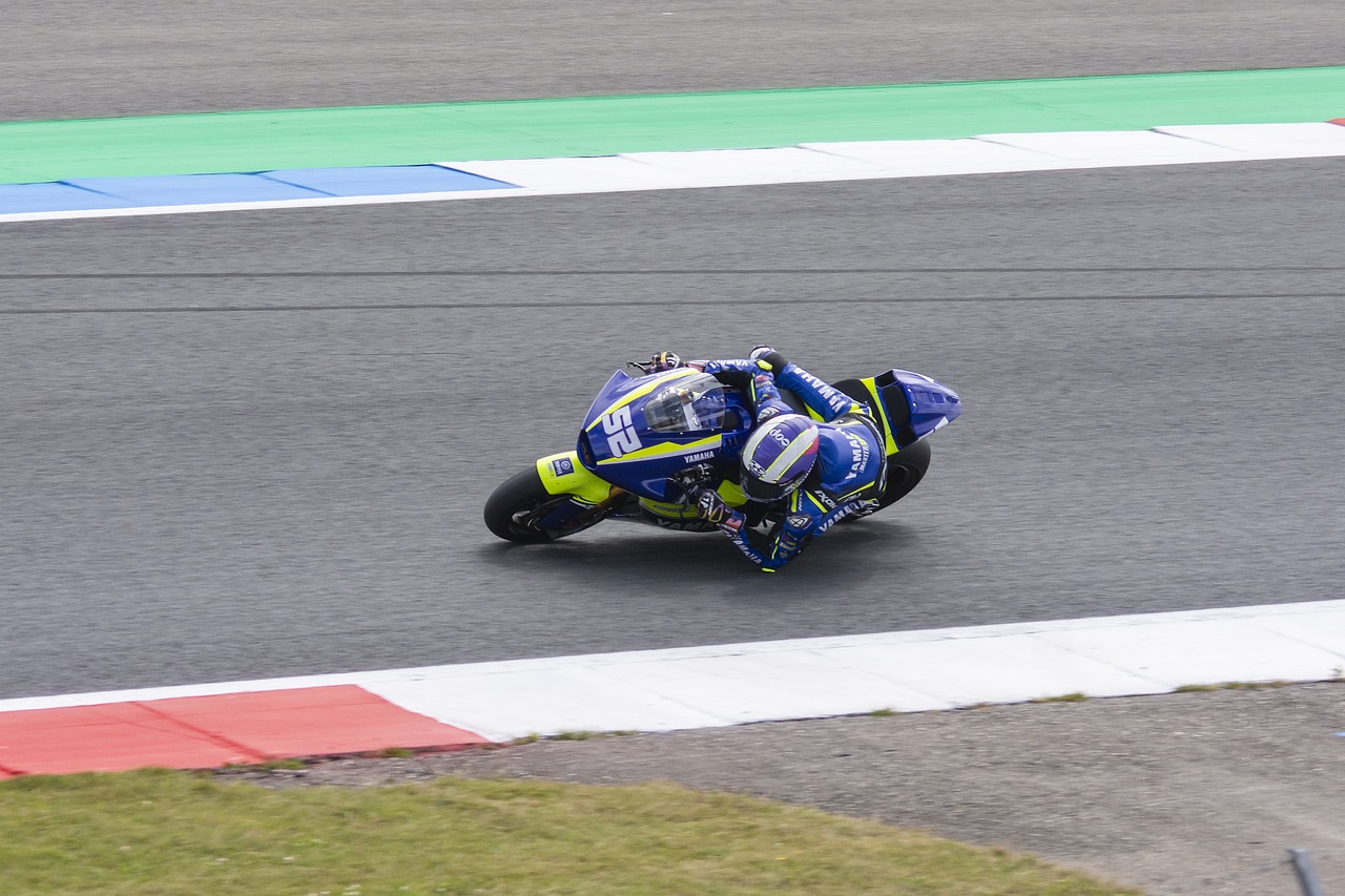 仅是对巴黎 仅是对巴黎