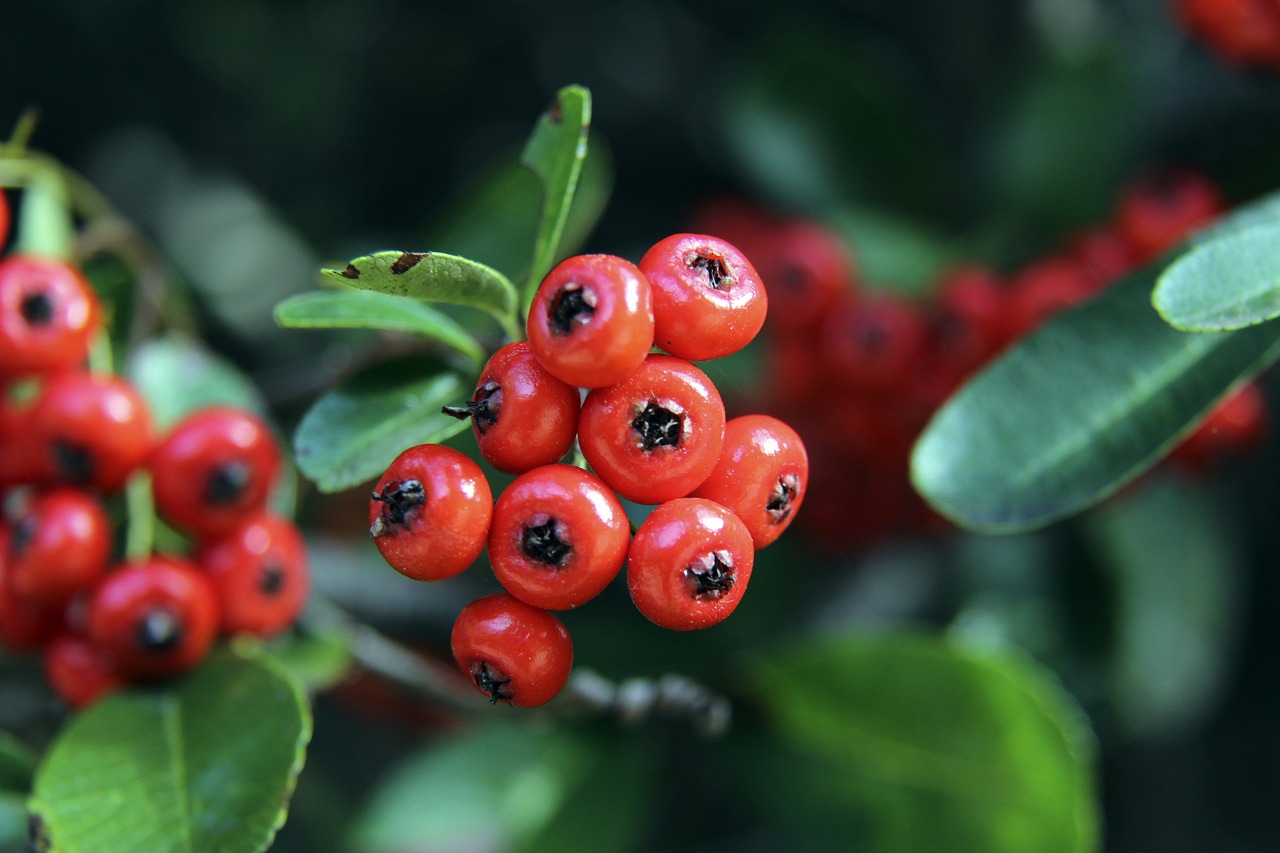 全面成长和 全面成长和