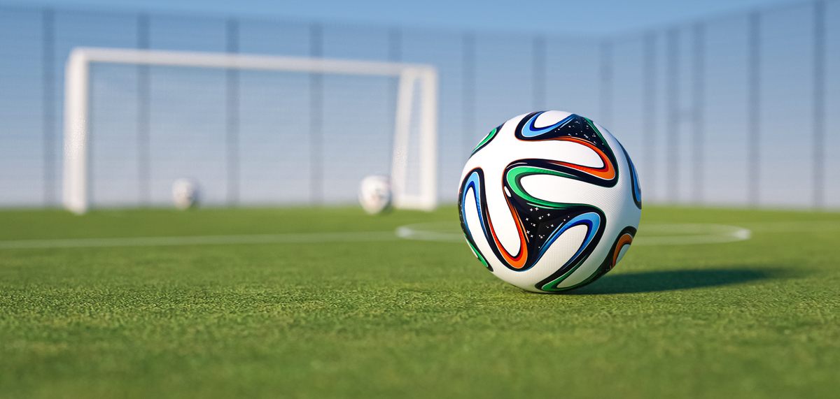 首次引入了 首次引入了