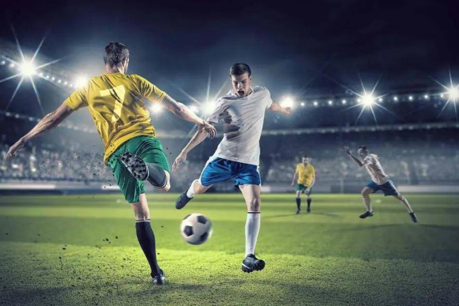 这既保护了 这既保护了