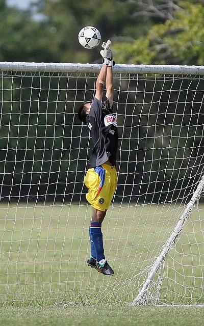 他两名同事 他两名同事